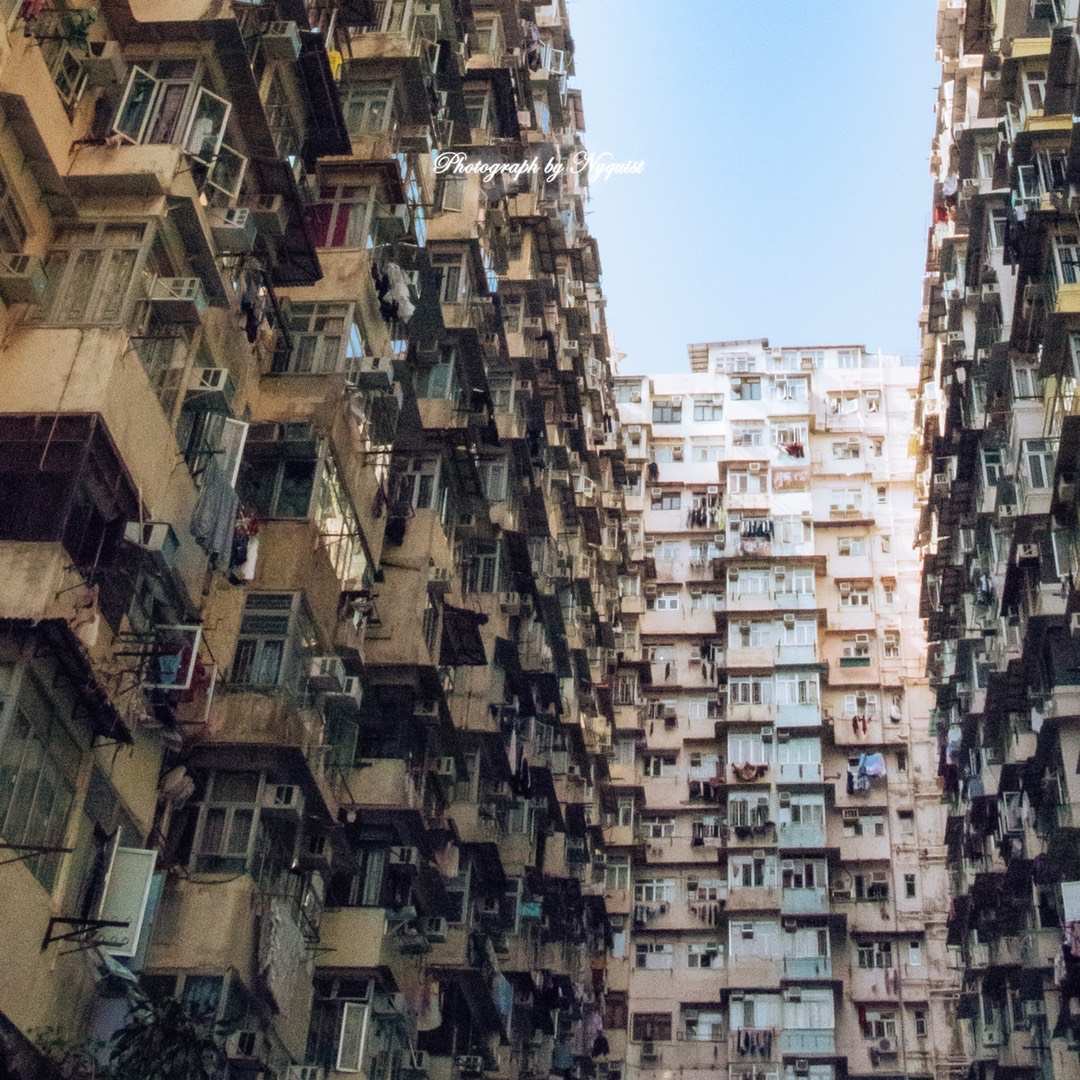 怪兽大楼