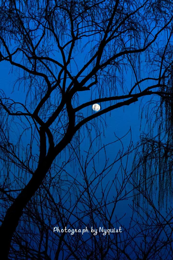苏堤夜景