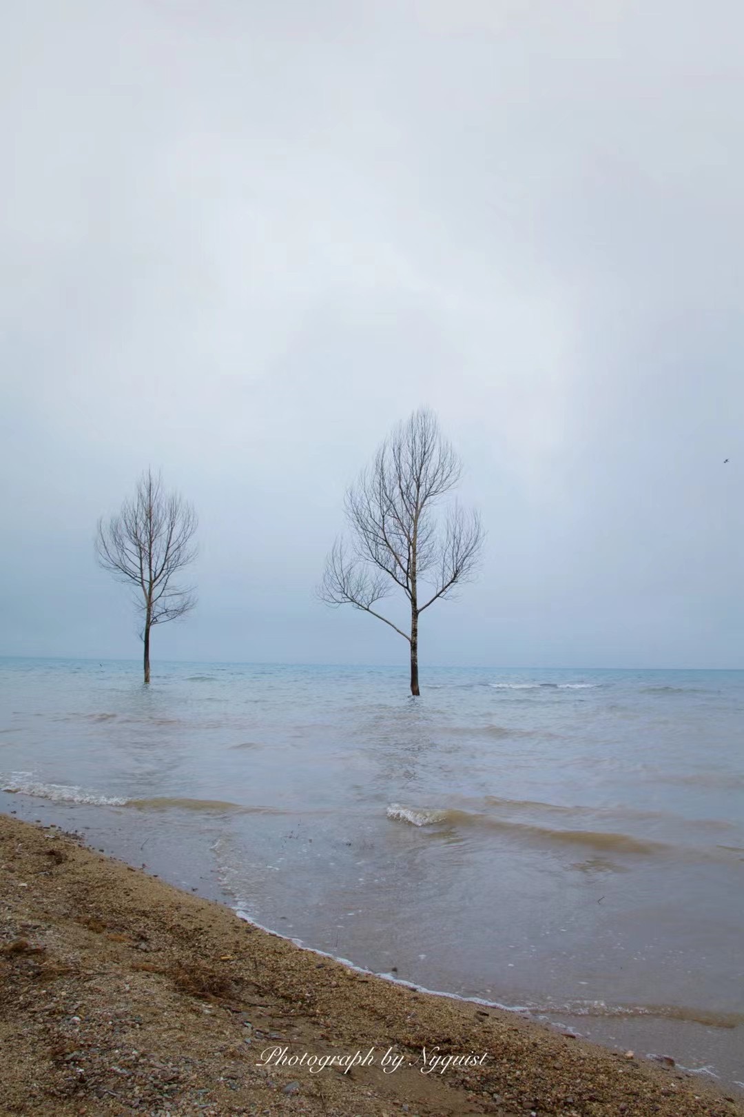 青海湖